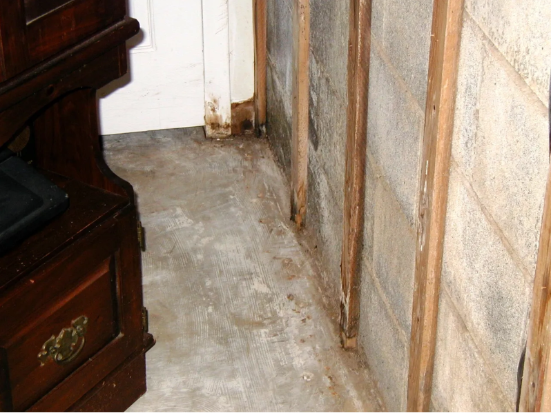 Water Damage Repair